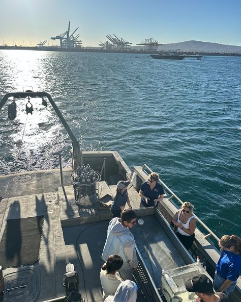 day in the life of a marine bio major 🐟🦭🌊 #marine #marinebiology #boatday #fieldday #research #science #newport Research Aesthetic, Science Major, 2025 Goals, My Future Job, Biology Labs, Future Job, Fever Dream, Future Jobs, Field Day