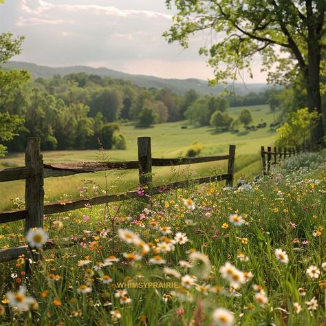 Whimsy Prairie Prairie Aesthetic, Prairie Core, Countryside Scenery, Prairie Landscape, 2025 Style, Spanish Projects, Country Field, Canadian Prairies, Country Things