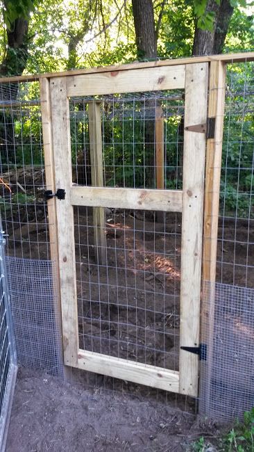 Easy DIY Chicken Run Door - Scott Family Homestead Chicken Run Door, Chicken Barn, Chicken Pen, Chicken Coup, Chicken Tractors, Chicken Coop Run, Chicken Tractor, Urban Chickens, Chicken Run