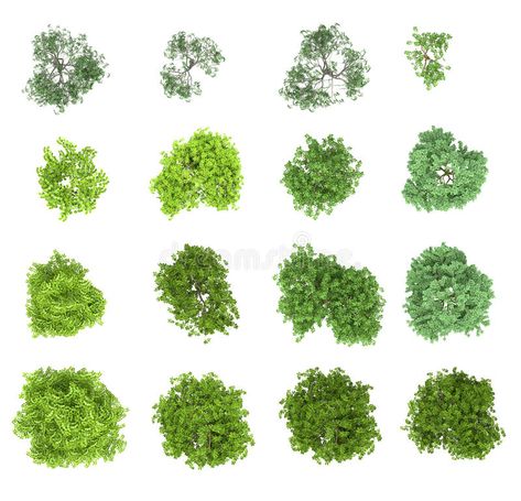 Set of deciduous trees. View from above, for the environment , #ad, #deciduous, #Set, #trees, #environment, #View #ad Landscape Diagram, Tree Plan, View From Above, Green Architecture, Photoshop Textures, Graphic Design Tips, Deciduous Trees, Tree Tops, Architecture Presentation