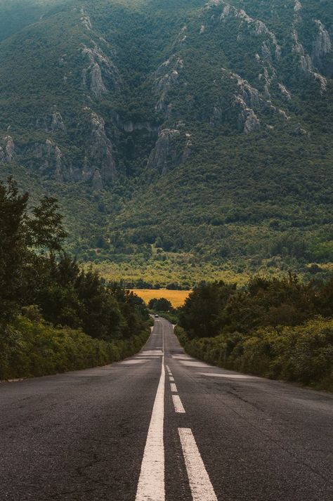 Download this free HD photo of road, forest, tree and mountain in Vratsa, Bulgaria by Evgeni Evgeniev (@evgenievgenief) Bulgaria Travel Destinations | Bulgaria Honeymoon | Bulgaria Photography | Backpack Bulgaria | Backpacking | Bulgaria Vacation Europe Wanderlust Budget Off the Beaten Path #travel #honeymoon #vacation #backpacking #budgettravel #offthebeatenpath #bucketlist #wanderlust #Bulgaria #Europe #visitBulgaria #TravelBulgaria Season Photography, Kaktus Dan Sukulen, Empty Road, Road Pictures, Sun Beautiful, Road Photography, Beautiful Roads, Image Nature, Forest Road