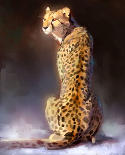 Cheetah Drawing, Digital Artist, Deviantart