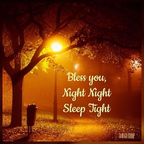 Good Night Fall Images, Good Night Fall, Night Night Sleep Tight, Goodnight Messages, Goodnight Wishes, Good Night Friends Images, Nite Nite, Thanksgiving Eve, Good Evening Greetings