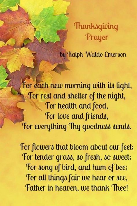 Thanksgiving Prayer Poem by Ralph Waldo Emerson #churchsource #ThanksgivingPrayer #Prayer #givethanks Thanksgiving Prayers For Family, Thanksgiving Poems, Prayer Pictures, Prayer Poems, Thanksgiving Prayer, Thanksgiving Blessings, Search Google, Prayer For Family, Love Anniversary Quotes