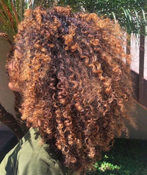 Ginger Highlights, Dyed Curly Hair, Highlights Curly Hair, Colored Curly Hair, Dyed Natural Hair, Pelo Afro, Curly Hair Inspiration, Natural Hair Inspiration, Natural Hair Tips