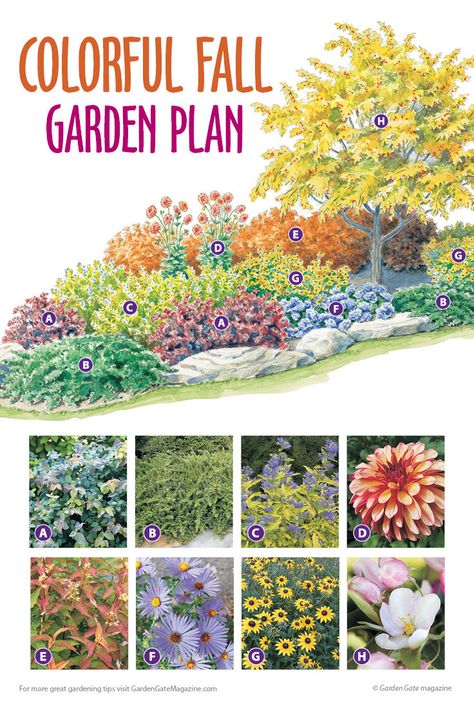 Make fall your garden's best season with this garden plan! #fallgarden #gardenplan Perennial Garden Plans, Flower Garden Plans, Privacy Landscaping, Vegetable Garden Planning, Garden Plan, Garden Design Plans, Garden Plans, Fall Garden, Flower Landscape