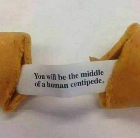 Not quite the fortune I was expecting 😂 #fortunecookie #human #centipede #thehorror #ninjamitton The Human Centipede, Human Centipede, Dankest Memes, Funny Pictures, Funny Memes, Writing, Humor, Human, Memes