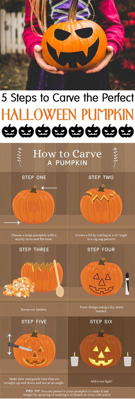 Pumpkin Carving Step By Step, Carving A Pumpkin, Pumpkins Preschool, Pumpkin Cravings, Traditional Pumpkin, Pumpkin Designs, Large Pumpkin, Diy Apartment Decor, Nice Art