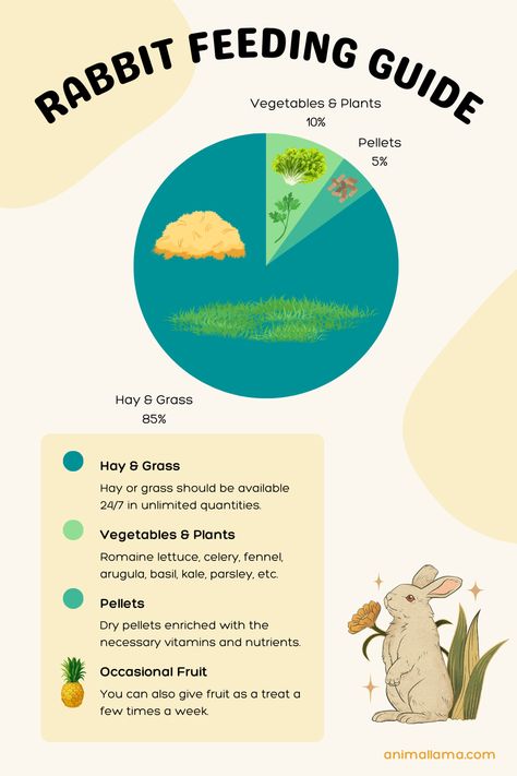 Rabbit Diet Chart, Rabbit Diet Plan, Rabbit Feeding Schedule, Rabbit Guide, Vegetables For Rabbits, Bunny Care Tips, Funny Bunny Videos, Rabbit Feeding, Rabbit Diet