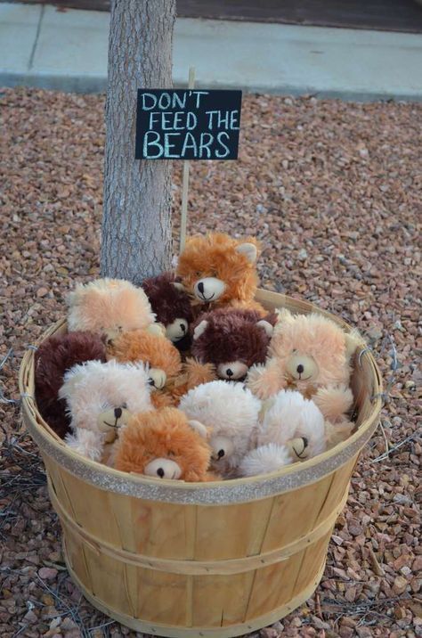 If you use stuffed animal reading buddies in your camping theme classroom, this would be a super cute way to store them! Don't feed the bears! (But do read with them! ;) Camping Birthday Party Favors, Camping Classroom Theme, Kids Camping Party, Glamping Birthday Party, Camping Theme Birthday Party, Camping Theme Birthday, Glamping Birthday, Camping Classroom, Camping Theme Classroom