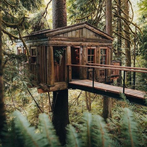 Treehouse Aesthetic, Cozy Castle, Creekside Cabin, Build Your Own Cabin, Diy Cabins, Shed Tiny House, Ecological House, Diy Cabin, Fall City