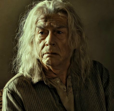 #garrickollivander #ollivander #wizardingworld #harrypotter #harrypotterworld #gryffindor Garrick Ollivander, Harry Potter Decor, Diagon Alley, Harry Potter World, Wizarding World, Daenerys Targaryen, Game Of Thrones Characters, Harry Potter