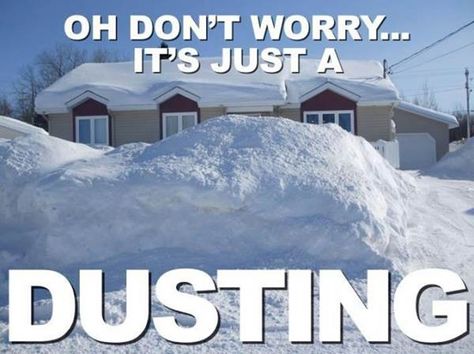 A New England dusting. Blizzard Meme, Nemo Memes, Snow Meme, Weather Humor, Winter Jokes, I Hate Winter, Winter Humor, Snow Humor, Weather Memes