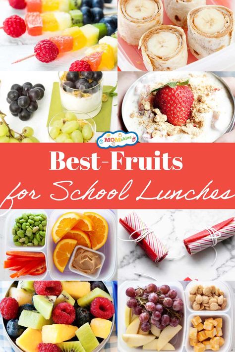 different types of fruits that are the best to pack for school lunches Fruit For Lunch Lunchbox Ideas, Fruit For Lunch, Kids Packed Lunch, Fruit Lunch, Kids Vegetables, Fruits For Kids, Healthy School, Healthy School Lunches, Kids Plates