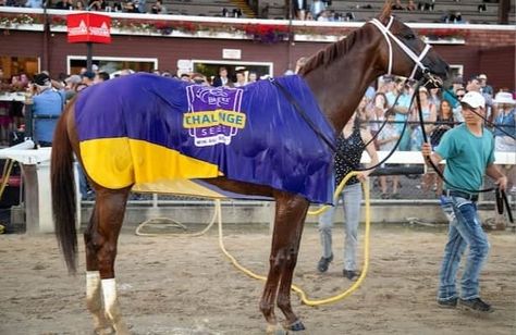 Highland Falls joins top 10 in Breeders’ Cup Classic rankings City Of Troy, Preakness Stakes, American Pharoah, Breeders Cup, Belmont Stakes, Churchill Downs, Thoroughbred Horse, Triple Crown, Preakness