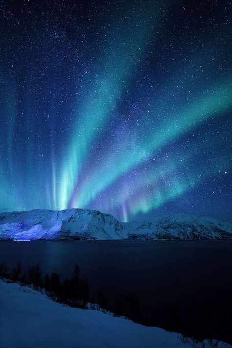 Hira Core, Celestial Phone Wallpaper, Light Creature, Alta Norway, Northern Lights Photography, Northern Lights (aurora Borealis), Aurora Borealis Northern Lights, Night Landscape, The Aurora