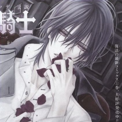 Vampire Knight Zero, Vampire Knight Kaname, Vampire Knight Yuki, Matsuri Hino, Kaname Kuran, Emo Pfp, Tattoo Style Drawings, Vampire Knight, Gothic Anime