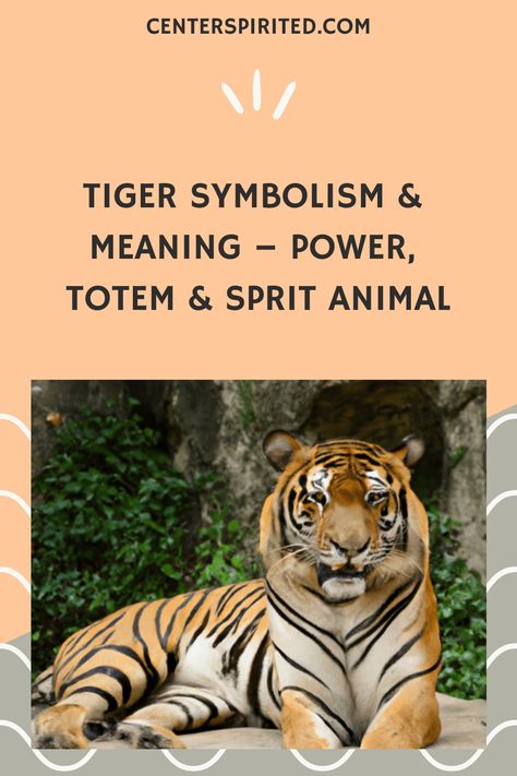 Tigers are one of the most popular and revered animals in the world. These magnificent creatures have been associated with a variety of meanings and symbolism throughout history. From power to totem animal and spirit guides, tigers have long been considered to be special and significant by many cultures. In this blog post, we’ll explore some of the most common tiger symbolism and meaning and see how this amazing animal can inspire us in our lives. Tiger Meaning, Tiger Symbolism, Tiger Totem, Tiger Spirit Animal, Symbolism Meaning, Spirit Animal Meaning, Animal Meanings, Totem Animal, Animal Spirit Guides