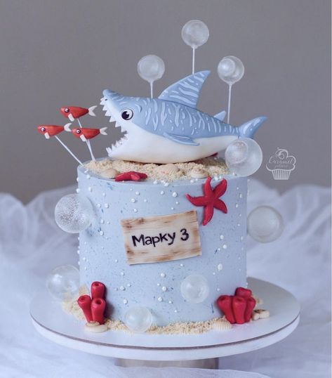 Shark Themed Cakes, Shark Birthday Cake, Toddler Birthday Cakes, Nemo Cake, Shark Birthday Cakes, Cake Designs For Kids, Shark Cake, Sea Cakes, Beach Cakes