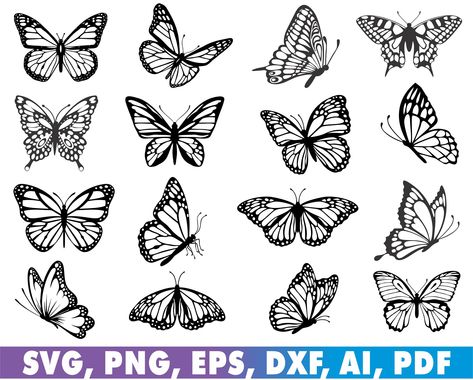 Black And White Butterfly Tattoo, Butterflies Black And White, Cricket Images, White Butterfly Tattoo, Cricut Butterfly, Different Butterflies, Cricut Clipart, Stencil Svg, Butterfly Black And White