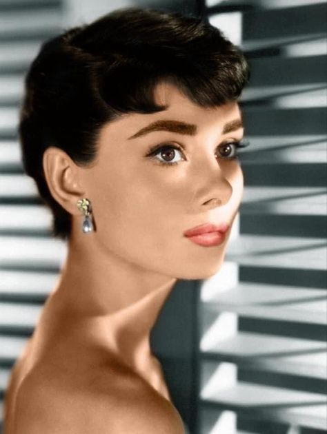 Audrey Hepburn Audrey Hepburn Eyebrows, Audrey Hepburn Hair, Audrey Hepburn Pictures, Aubrey Hepburn, Audrey Hepburn Photos, Audrey Tautou, Audrey Hepburn Style, Hepburn Style, Actrices Hollywood