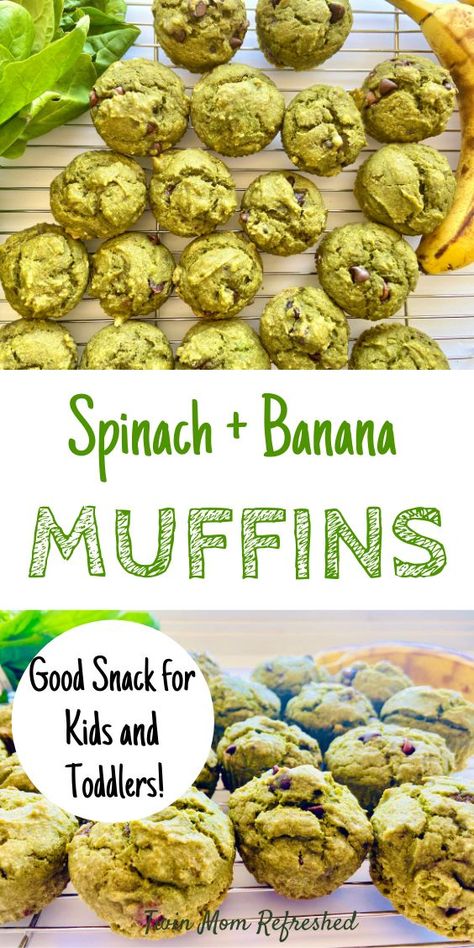 Toddler Veggie Muffins, Spinach Banana Muffins, Healthy Toddler Muffins, Green Muffins, Daycare Meals, Kids Veggies, Toddler Meal Ideas, Veggie Muffins, Easy Toddler Meals