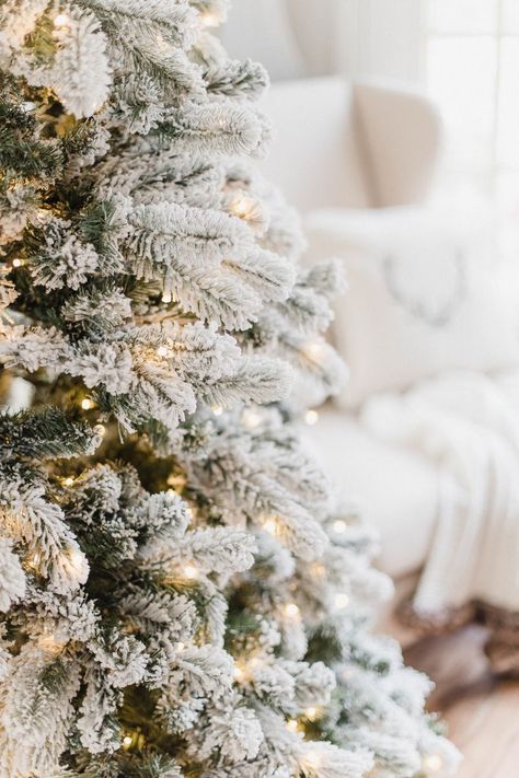 Connecticut life and style blogger Lauren McBride shares details and FAQs about her King of Christmas King Flock tree, including tree stand details. King Of Christmas Flocked Tree, Christmas Dog Decor, Beige Christmas, Winter Aesthetics, Lauren Mcbride, Girly Christmas, Snowy Christmas, A White Christmas, Christmas Front Doors