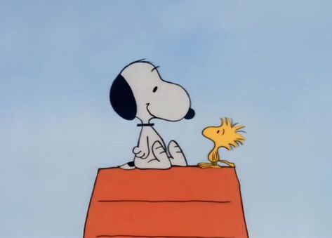 Sally Brown, Snoopy Funny, Snoopy Images, Snoopy Wallpaper, Peanuts Characters, Snoopy Pictures, Snoop Dog, Whatsapp Wallpaper, Joe Cool