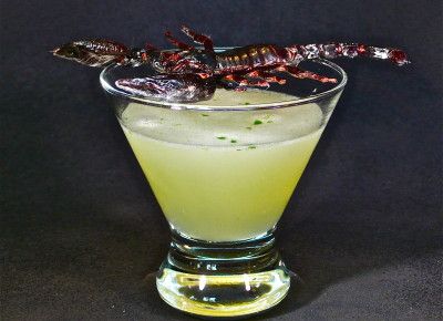 Scorpion Stinger Margarita | cocktaildudes Scorpion Cocktail, Stinger Cocktail, Water Scorpion, Scorpion Bowl, Striking Scorpions, French 75, Stinger, Scorpion, Cocktail Drinks