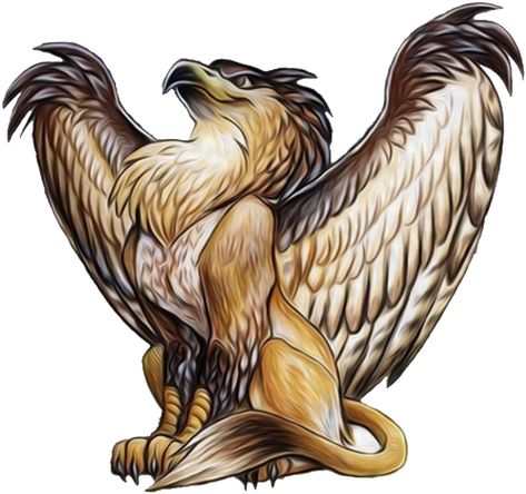 Griffon Tattoo, Griffin Mythical, Griffin Tattoo, Vampires And Werewolves, Mythical Animal, Legendary Creature, Mythical Beast, An Eagle, Mythological Creatures