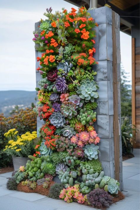 Hanging Succulents Outdoor, Cascading Succulents, Interior Green Wall, Hippie Garden Ideas, Succulent Landscape, Succulent Wall Garden, Desert Gardens, Hippie Garden, Casting Shadows