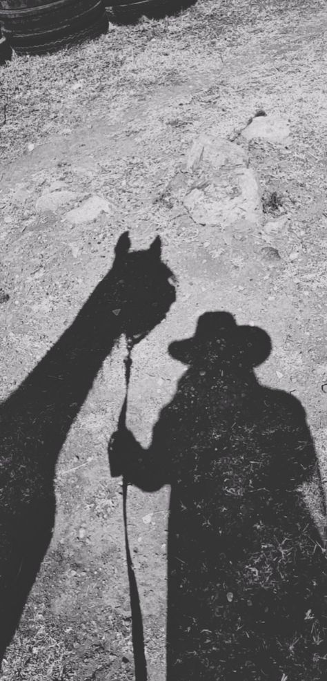 Shadow of horse and girl Horse Shadow, Horse And Girl, Girl Shadow, Human Silhouette, Batman, Horses, Fictional Characters, Art