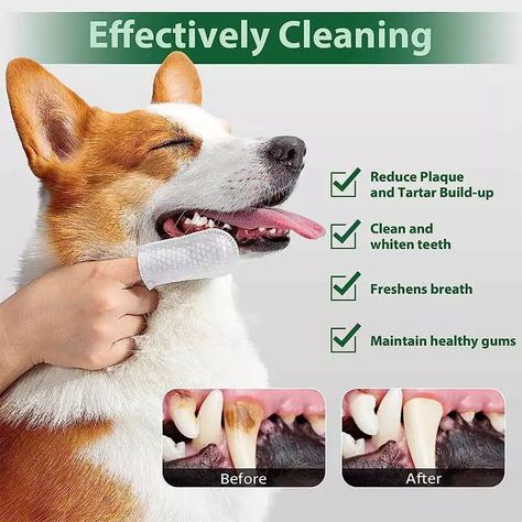 Premium Dental Care Wipes for Dogs & Cats - SYWIPE Manufacturers Teeth Hygiene, Pet Dental Care, Pet Branding, Pet Wipes, Dog Salon, Dog Yoga, Dog Dental Care, Dog Dental, Teeth Care