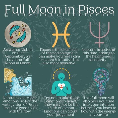 The Witch of the Forest ☾ (@thewitchoftheforest) • Instagram photos and videos Full Moon In Pisces, Moon In Pisces, Virgo Season, 21 September, Lunar Eclipse, The Full Moon, Harvest Moon, The Day After, The Witch