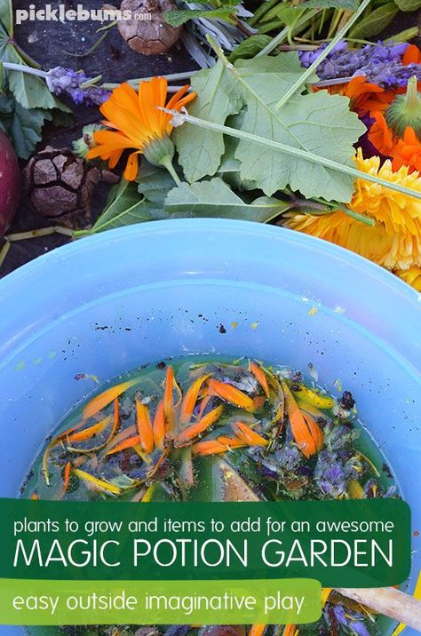 Magic Potion Gardens - what plants to grow in your magic potion garden, and other awesome items to add to this fun outside imaginative play. Science Witch, Herb Properties, Potions For Kids, Tree Paper Craft, Making Potions, Forest Preschool, Spring School, Plant Crafts, Fall Tree