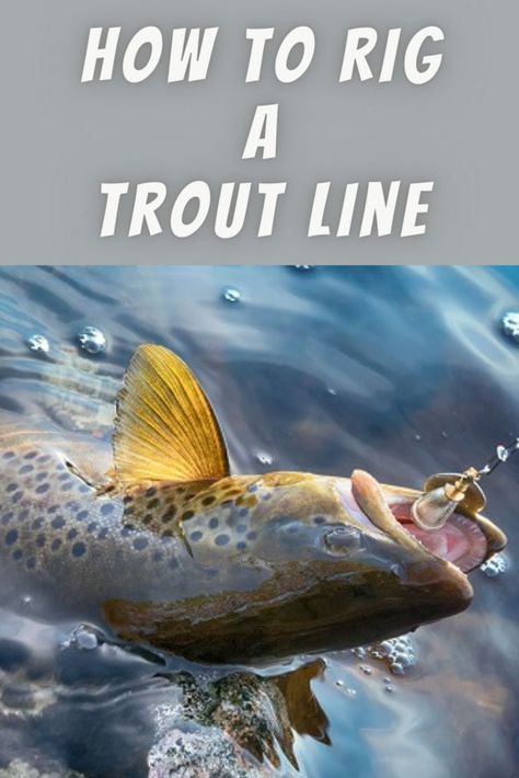 Here's a few different ways you can setup a trout fishing line. These are my favorite trout line setups including Sinking Bait Trout Fishing rig Floating Bait Trout Fishing Rig and the Lure Rig For Trout Fishing. How To Catch Trout, Fishing Trout, Trout Fishing Lures, Fishing Hook Knots, Steelhead Fishing, Kayak Fishing Accessories, Fish Types, Rainbow Trout Fishing, Fishing Basics