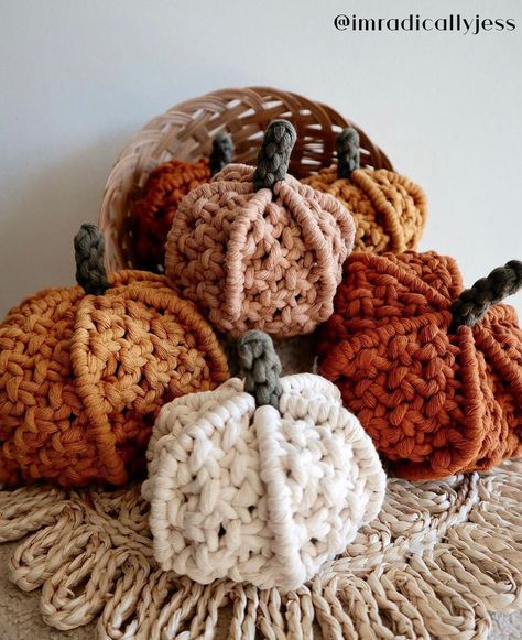 CREATIONS FROM OUR FALL MACRAME PUMPKIN DIY TUTORIAL by: Leah Aldrich from @thesunkissedknot Macrame Pumpkin, Pumpkin Diy, Bohemian Soul, Macrame Patterns Tutorials, Autumn Crafts, Diy Pumpkin, Fall Projects, Macrame Ideas, Fall Halloween Decor