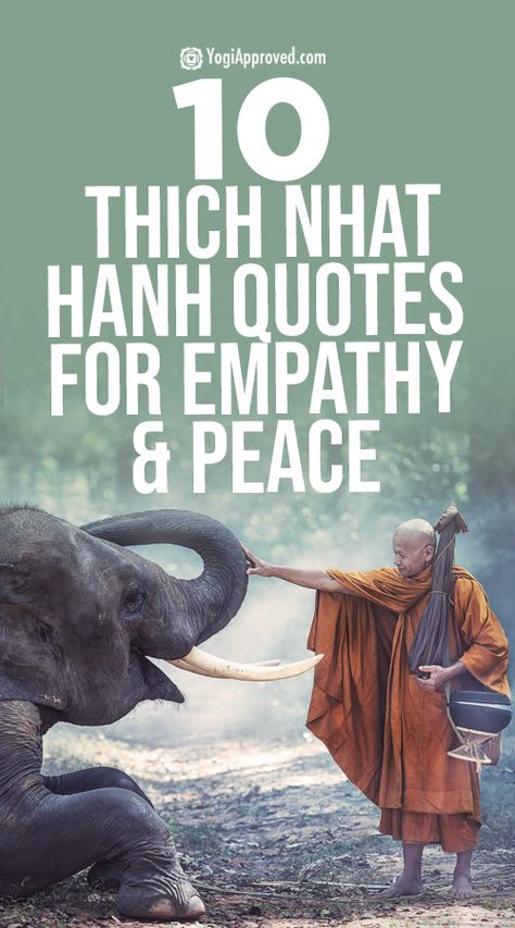 Thich Nhat Hanh Quotes Mindfulness, Inspirational Leaders, Yoga Inspiration Quotes, Thich Nhat Hanh Quotes, Brene Brown Quotes, Buddhist Practices, Buddhist Wisdom, Comfort Quotes, Thich Nhat Hanh