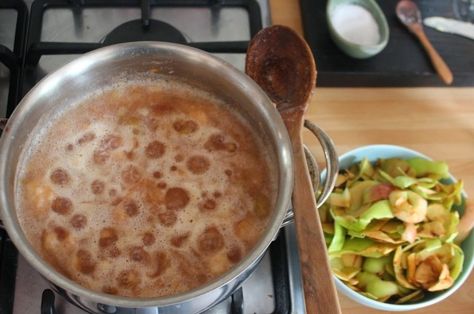 Apple Peel Cider Apple Peel Recipe, Apple Scraps, Cider Alcohol, Apple Cider Drink, Apple Wine, Pear Cider, Food Simple, Apple Cider Recipe, Low Stomach Acid