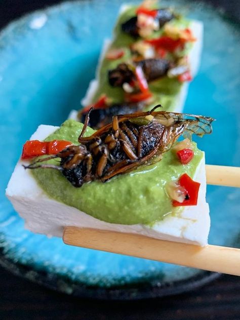 Cooking Insect-Based Dishes With Joseph Yoon - Atlas Obscura Experiences Edible Bugs, Weird Snacks, Edible Insects, Basic Kitchen, Course Meal, Star Wars The Clone Wars, Sustainable Food, Protein Pack, The Clone Wars