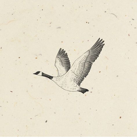 Celtic Wild Goose, Mary Oliver Tattoo Ideas, Wild Geese Illustration, Goose Line Drawing, Duck And Goose Tattoo, Wild Goose Tattoo, Canada Goose Tattoo, Wild Geese Mary Oliver Tattoo, Copenhagen Tattoo