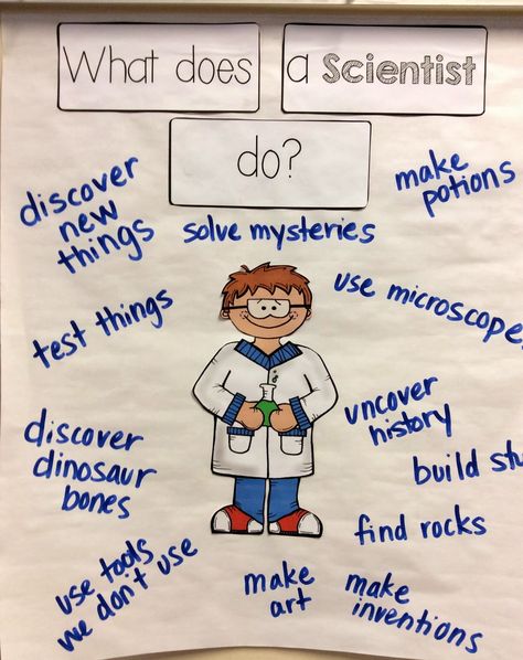 What does a scientist do? Mad Scientist Kindergarten, Mad Scientist Preschool Theme, Scientist Day At School, Scientist Anchor Chart, Osc Activities, Water Cycle Song, Think Like A Scientist, Prek Themes, What Is A Scientist