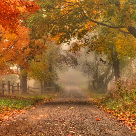 Leaves On The Ground, Road Pictures, Autumn Morning, Dirt Road, Autumn Beauty, Autumn Aesthetic, Early Fall, Fall Wallpaper, Fall Photos