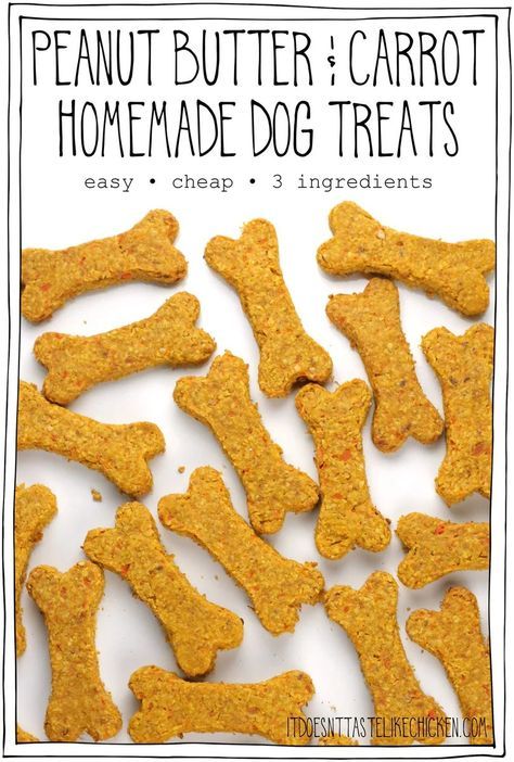 This Homemade Dog Treat Recipe is quick and easy to make! With just 3 ingredients: peanut butter, carrot, and oats. They are so cheap to make, and are healthy for your dogs too. And most important of all, dogs LOVE them!! #itdoesnttastelikechicken #dogtreats #dogtreatrecipe Carrots And Peanut Butter, Easy Homemade Dog Treats, Soft Dog Treats, Pet Treats Recipes, Butter Carrots, Dog Treat Recipe, Dog Treats Homemade Easy, Easy Dog Treat Recipes, Doggy Treats