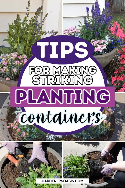 Planting Containers: The No-Fail Method For Making Beautiful Containers | Gardens How To Plant Flowers, Front Yard Curb Appeal, Planter Boxes Flowers, Planting Containers, Ivy Geraniums, Fine Gardening Magazine, Front Yards Curb Appeal, Container Garden Design, Full Sun Plants