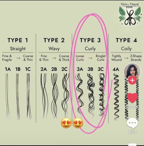 How To Oil Curly Hair, Hair Types Chart, 2b Curly Hair, Hair Type Chart, 2a Hair, Quick Natural Hair Styles, Hair Aesthetic, Hair Stylies, Short Hair Styles Easy