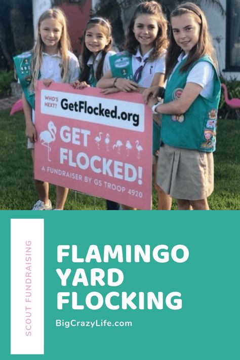 Girl Scout Fundraising Ideas, Flocking Fundraiser, Flamingo Fundraiser, Scout Fundraising Ideas, Kids Earning Money, Girl Scout Meeting Ideas, Brownie Scouts, Scout Mom, Money Earning