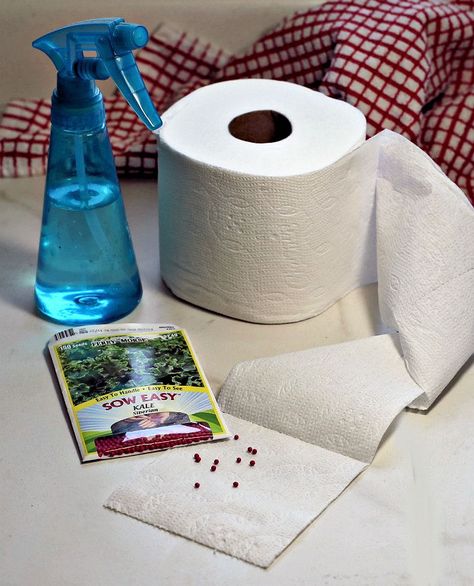 Toilet Paper Seed Starter, Seed Tape Diy, Seed Paper Diy, Outside Yard Ideas, Garden Soil Mix, Seed Tape, Flower Seed Paper, Enclosed Garden, Seed Planting