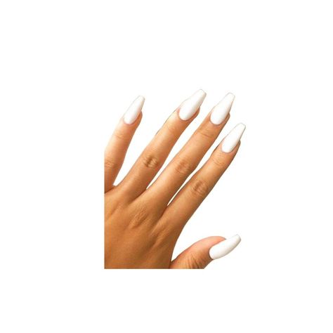 Niche Png, Hand References, Pngs For Moodboards, Png Polyvore, White Bg, Niche Memes, Png Aesthetic, Nails White, Hand Reference