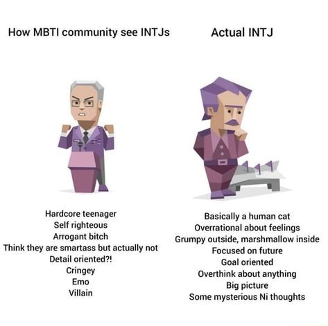 Intj Stereotypes, Intj X Istp, Istp Intj, Self Righteous, Intj Characters, Intj Humor, Intj Enfp, Intj Women, Istp Personality